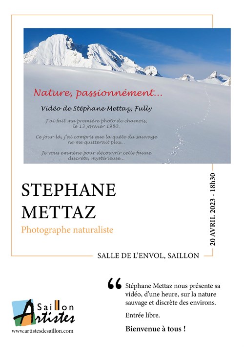 Stephane Mettaz 200423